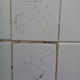 Illustration for article titled Wait, Wheelerguy, so you drew SIX race tracks on a bathroom wall using strands of hair?!?!?!?!?!